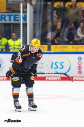 Löwen Frankfurt - ERC Ingolstadt - 2.11.25 - 107