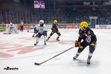 Löwen Frankfurt - Adler Mannheim - 14.11.25 - 033