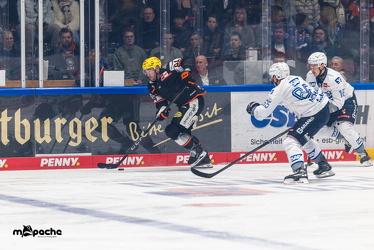 Löwen Frankfurt - Adler Mannheim - 14.11.25 - 034