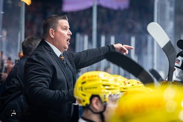 Löwen Frankfurt - Adler Mannheim - 14.11.25 - 037
