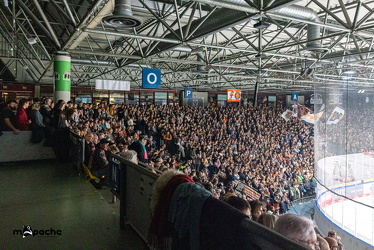 Löwen Frankfurt - Adler Mannheim - 14.11.25 - 044