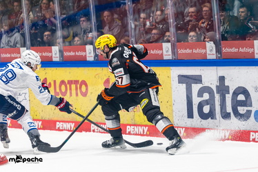 Löwen Frankfurt - Adler Mannheim - 14.11.25 - 054