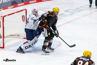 Löwen Frankfurt - Adler Mannheim - 14.11.25 - 068