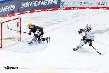 Löwen Frankfurt - Adler Mannheim - 14.11.25 - 075