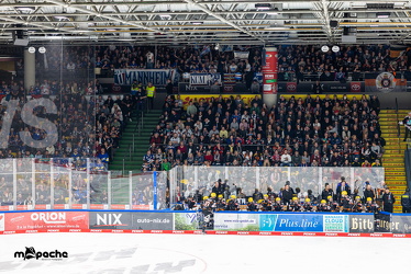 Löwen Frankfurt - Adler Mannheim - 14.11.25 - 076