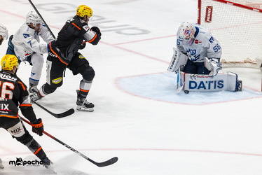 Löwen Frankfurt - Adler Mannheim - 14.11.25 - 083