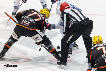 Löwen Frankfurt - Adler Mannheim - 14.11.25 - 094