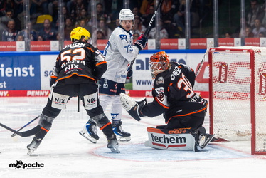 Löwen Frankfurt - Adler Mannheim - 14.11.25 - 118