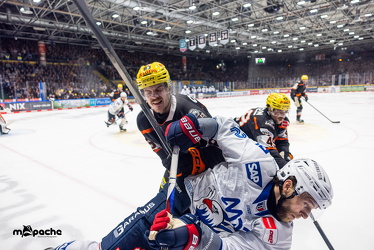Löwen Frankfurt - Adler Mannheim - 14.11.25 - 127
