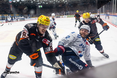 Löwen Frankfurt - Adler Mannheim - 14.11.25 - 128