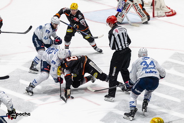 Löwen Frankfurt - Adler Mannheim - 14.11.25 - 136
