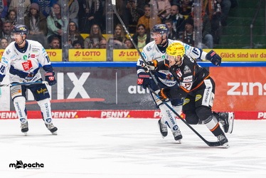 Löwen Frankfurt - Iserlohn Roosters - 21.11.25 - 118