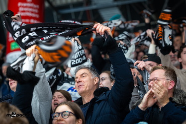 Löwen Frankfurt - Iserlohn Roosters - 21.11.25 - 115