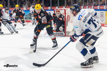 Löwen Frankfurt - Iserlohn Roosters - 21.11.25 - 111