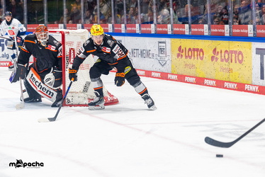Löwen Frankfurt - Iserlohn Roosters - 21.11.25 - 110
