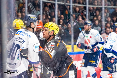 Löwen Frankfurt - Iserlohn Roosters - 21.11.25 - 100
