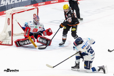 Löwen Frankfurt - Iserlohn Roosters - 21.11.25 - 074