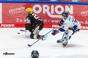 Löwen Frankfurt - Iserlohn Roosters - 21.11.25 - 069