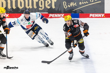 Löwen Frankfurt - Iserlohn Roosters - 21.11.25 - 068