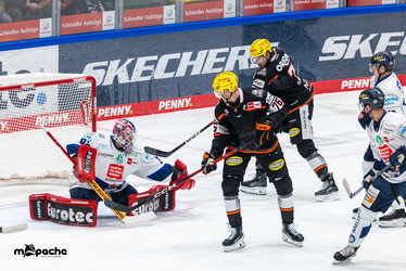 Löwen Frankfurt - Iserlohn Roosters - 21.11.25 - 064