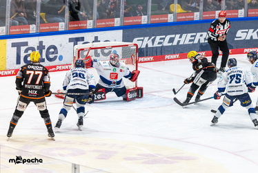 Löwen Frankfurt - Iserlohn Roosters - 21.11.25 - 060