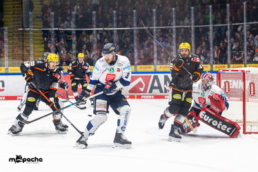 Löwen Frankfurt - Iserlohn Roosters - 21.11.25 - 054