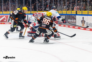 Löwen Frankfurt - Iserlohn Roosters - 21.11.25 - 053