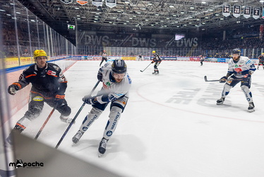 Löwen Frankfurt - Iserlohn Roosters - 21.11.25 - 036