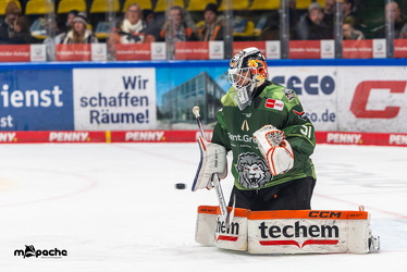 Löwen Frankfurt - Iserlohn Roosters - 21.11.25 - 012