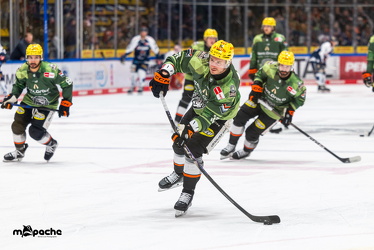 Löwen Frankfurt - Iserlohn Roosters - 21.11.25 - 006