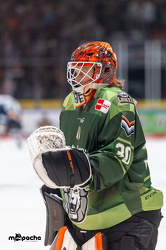 Löwen Frankfurt - Iserlohn Roosters - 21.11.25 - 005