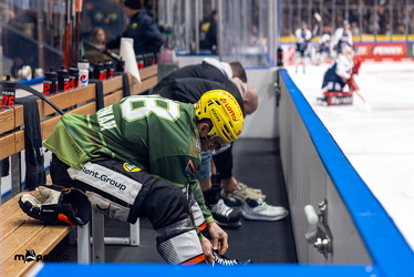 Löwen Frankfurt - Iserlohn Roosters - 21.11.25 - 001