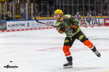 Löwen Frankfurt - Augsburger Panther - 25.11.25 - 002