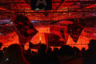 Löwen Frankfurt - Augsburger Panther - 25.11.25 - 009