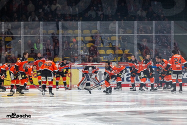 Löwen Frankfurt - Augsburger Panther - 25.11.25 - 018