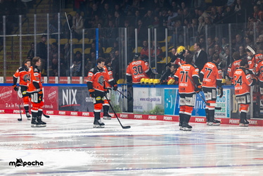 Löwen Frankfurt - Augsburger Panther - 25.11.25 - 019