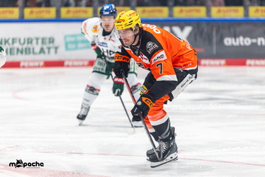 Löwen Frankfurt - Augsburger Panther - 25.11.25 - 022