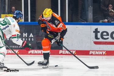 Löwen Frankfurt - Augsburger Panther - 25.11.25 - 023