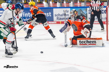 Löwen Frankfurt - Augsburger Panther - 25.11.25 - 026