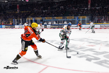Löwen Frankfurt - Augsburger Panther - 25.11.25 - 034