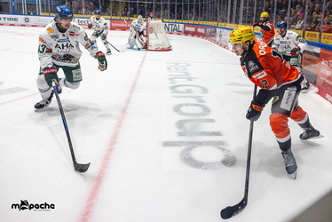 Löwen Frankfurt - Augsburger Panther - 25.11.25 - 035