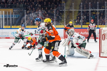 Löwen Frankfurt - Augsburger Panther - 25.11.25 - 036