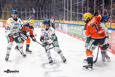 Löwen Frankfurt - Augsburger Panther - 25.11.25 - 037