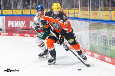 Löwen Frankfurt - Augsburger Panther - 25.11.25 - 038