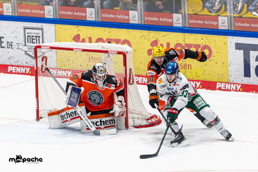 Löwen Frankfurt - Augsburger Panther - 25.11.25 - 041