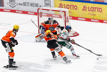 Löwen Frankfurt - Augsburger Panther - 25.11.25 - 042