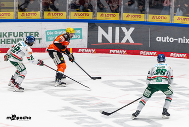 Löwen Frankfurt - Augsburger Panther - 25.11.25 - 043