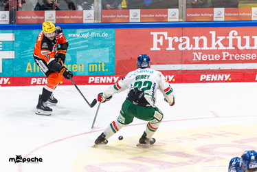 Löwen Frankfurt - Augsburger Panther - 25.11.25 - 054