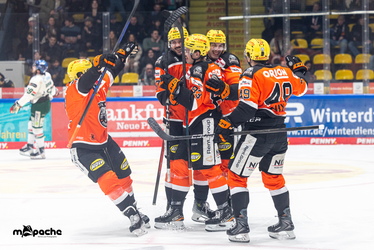 Löwen Frankfurt - Augsburger Panther - 25.11.25 - 057