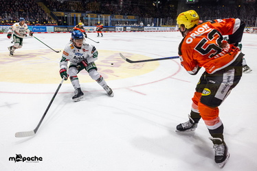 Löwen Frankfurt - Augsburger Panther - 25.11.25 - 062